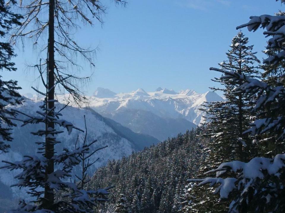 Sportpension Schober オーバートラウン エクステリア 写真